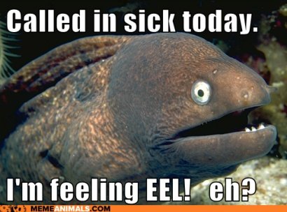 Click image for larger version

Name:	Sick EEL.jpg
Views:	259
Size:	59.9 KB
ID:	101704