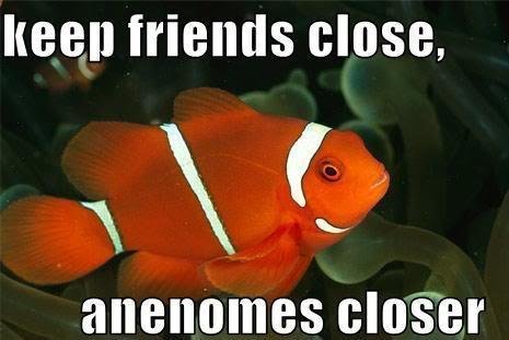 Click image for larger version

Name:	f-Funny-Clown-Fish-Joke-9423.jpg
Views:	582
Size:	28.0 KB
ID:	101707