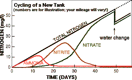 Click image for larger version

Name:	fish-tank-nitrogen-cycle.gif
Views:	73
Size:	9.3 KB
ID:	13679
