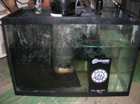 Click image for larger version

Name:	Sump system 006.jpg
Views:	159
Size:	93.5 KB
ID:	13819