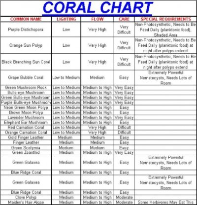 Click image for larger version

Name:	coral 1.jpg
Views:	4601
Size:	100.7 KB
ID:	15264