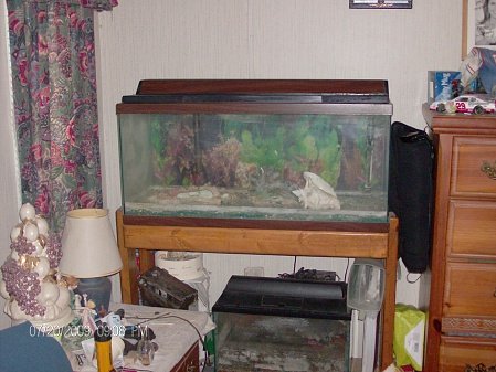 Click image for larger version

Name:	fish tank.jpg
Views:	114
Size:	75.8 KB
ID:	20265