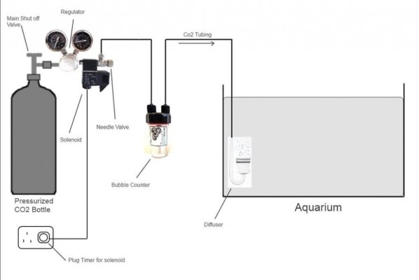 Click image for larger version

Name:	Aquarium-CO2 setup.jpg
Views:	11
Size:	78.4 KB
ID:	323365