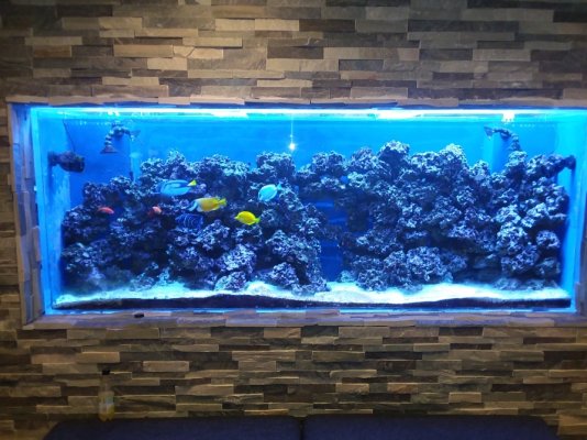 Click image for larger version

Name:	400 Gallon Tank.jpg
Views:	20
Size:	260.5 KB
ID:	323950