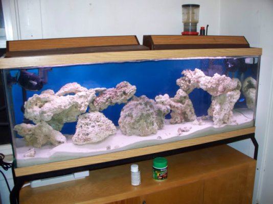 Click image for larger version

Name:	55 gal saltwater 1st stages.jpg
Views:	267
Size:	68.1 KB
ID:	46723
