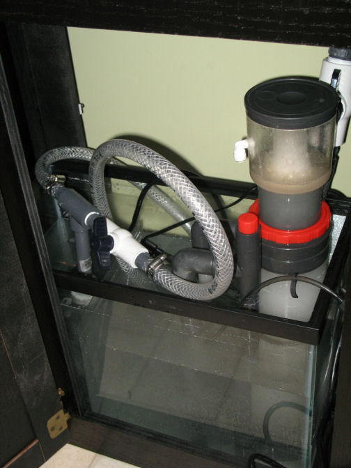 10 gal sump with Coralife Super Skimmer 65 (needle wheel) and pondmaster mag drive 500