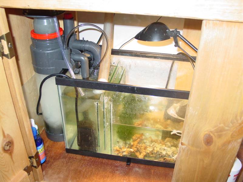 10g ($10), Coralife Super Skimmer ($119), 3 glass baffles for bubble trap ($6), some LR rubble, chaeto, and a Pondmaster return pump ($35 at Lowe's).
