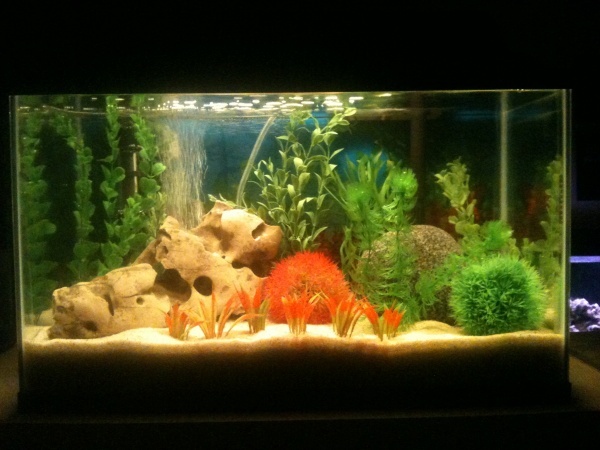 10g waiting to be stocked