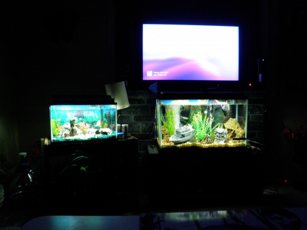 10gal with air stone, 30gal with motorcycle airator, 46 sony bravia :P
