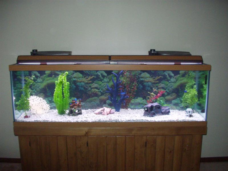 125 Gallon  72Lx18Dx22H
150lbs Crushed coral/shells
(2) Tetra-Tec 500 Filters with 200w heaters