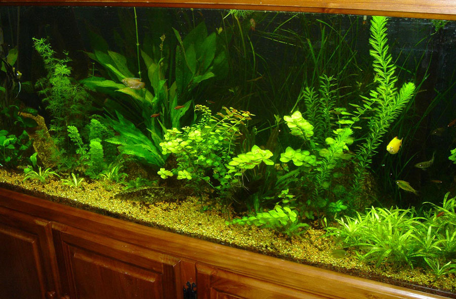 179 Gallon tank from a different view