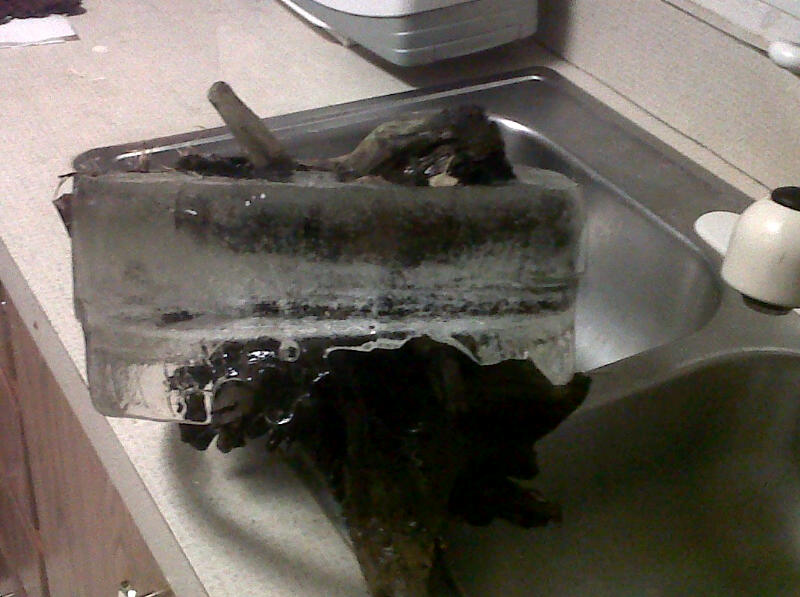 2012 12-16 DW frozen from being outside in a bucket of water!