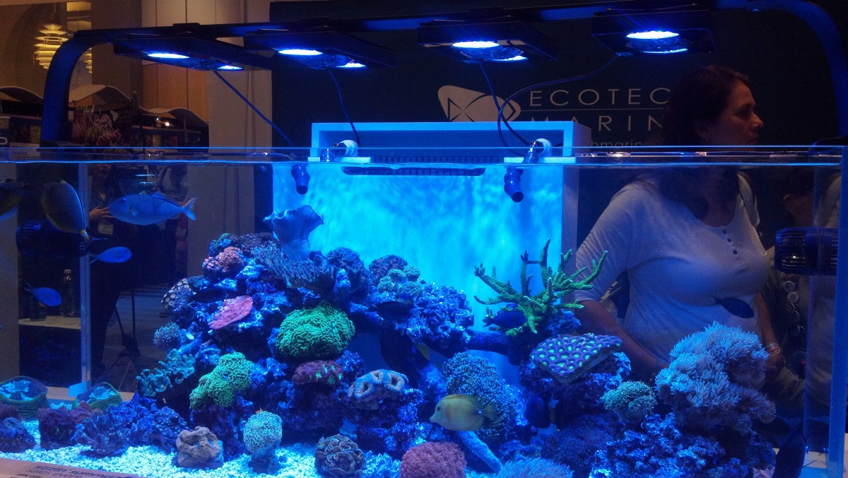 2014 08 31 Current prototype not yet available reef light more colors are standard, really cool, at ORA.