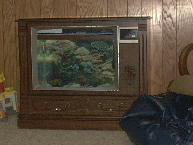 25" console t.v with a 25 gallon saltwater tank inside.