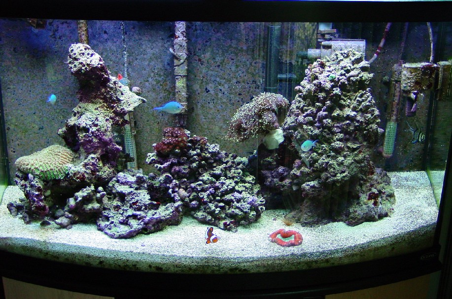 46g bowfront, 9/1/07
