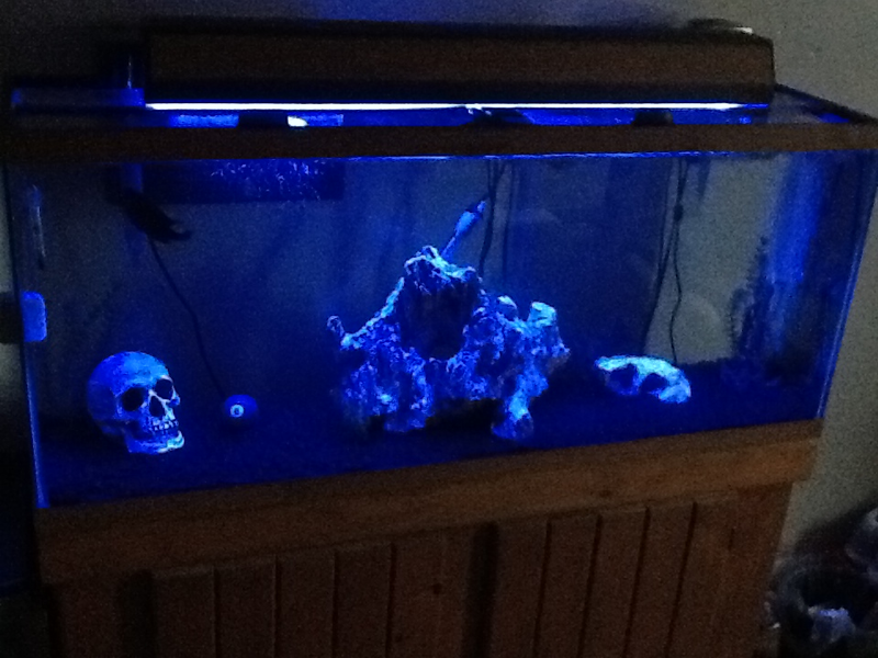 55g with the night light