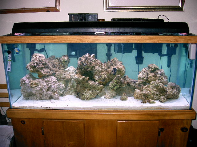 60 lbs of lalo live rock and 60 lbs of base rock from Hirocks.com and 100 lbs of fiji pink live sand. this should be a pretty sweet set-up.