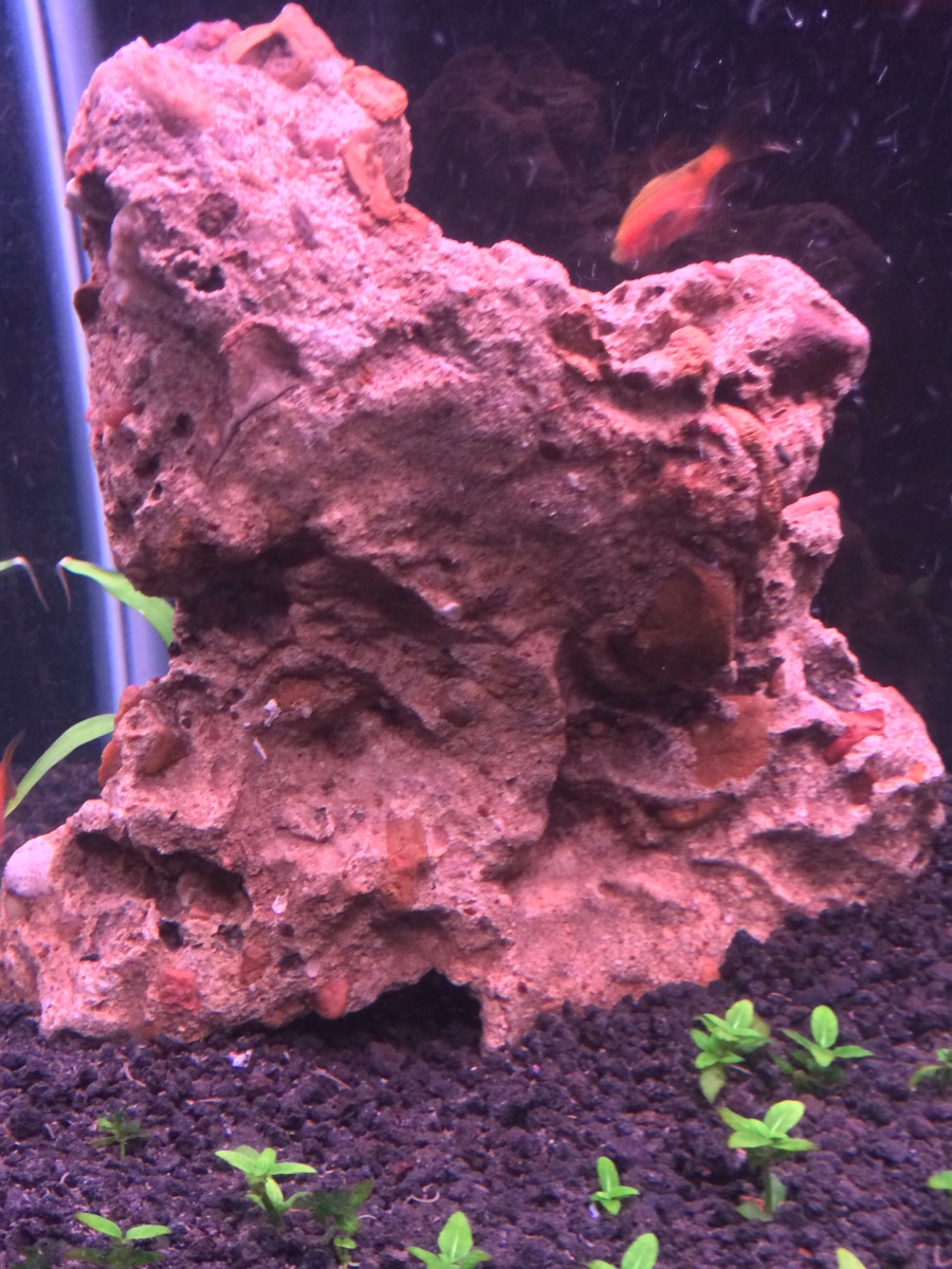 A rock my girlfriend found for me and has a little cave for the ralphael cat fish