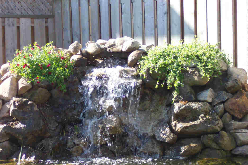 A spring photo of my waterfall with plants.