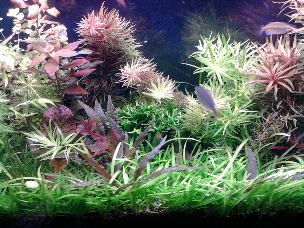 Another pic of the 40g at a different time