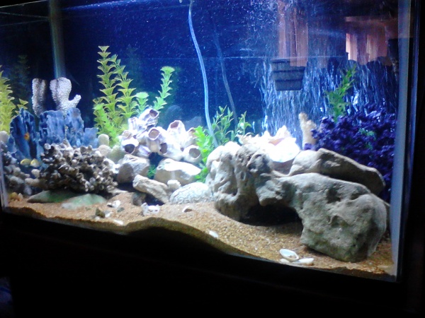 aquarium side view