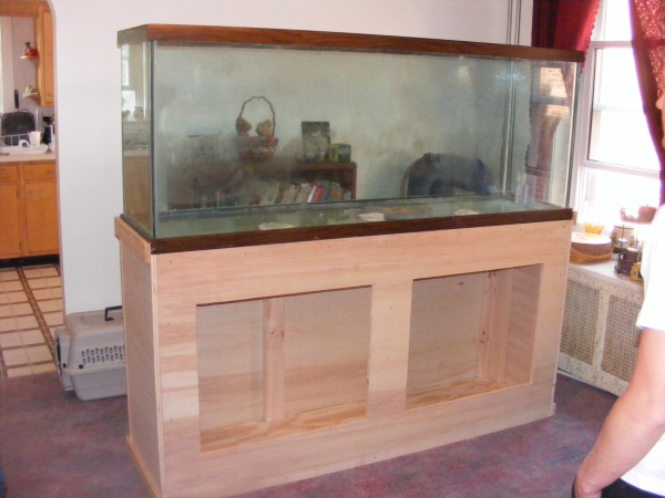 Back of tank and stand mock up