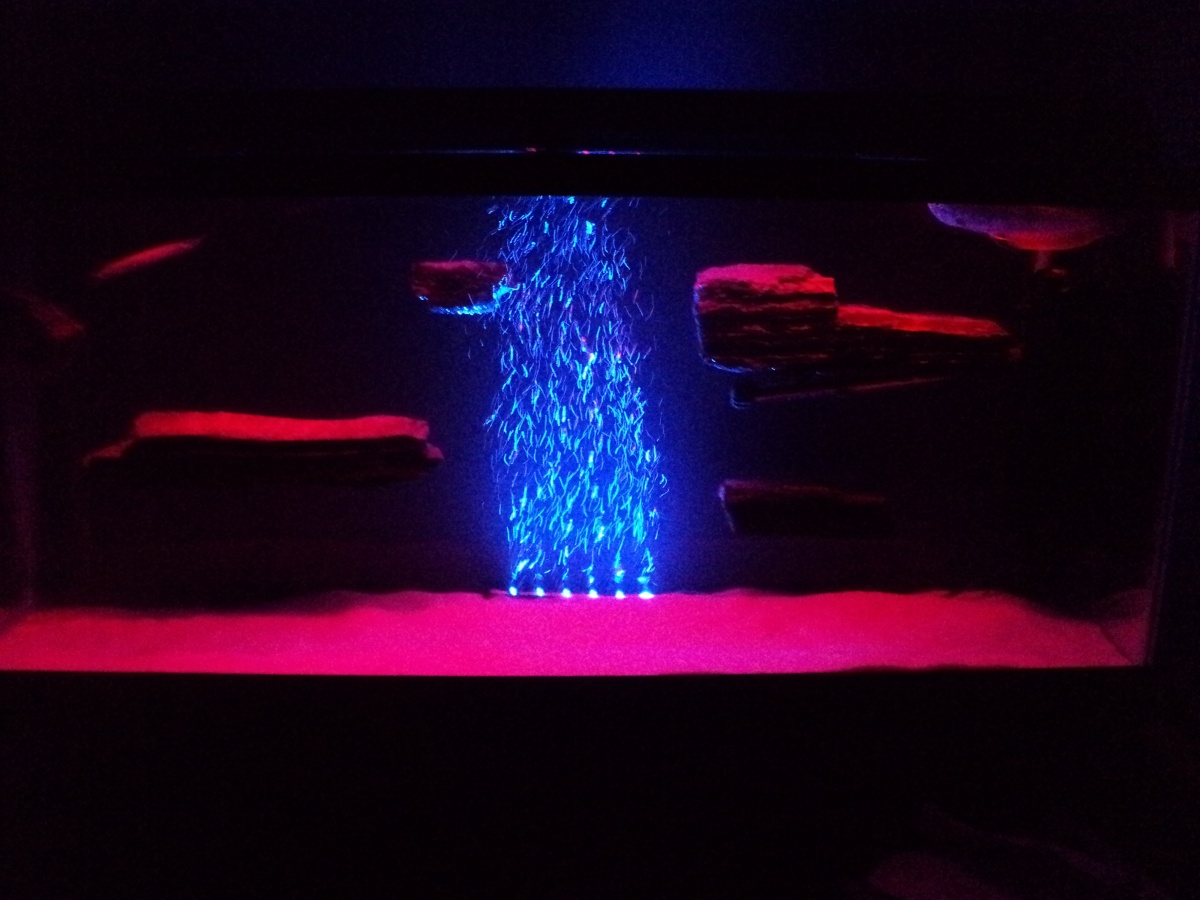 blue bubble led lights with the red led on top