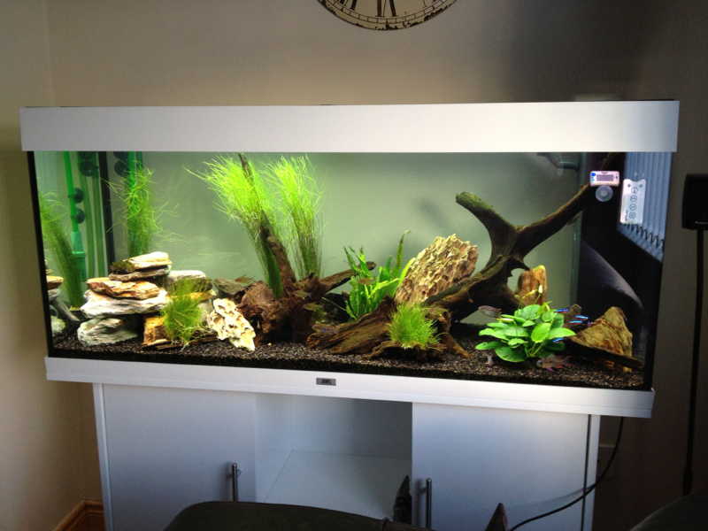 Changed the left, added more rocks and right missing the Vallisneria thanks to flourish excel - new Valls ordered