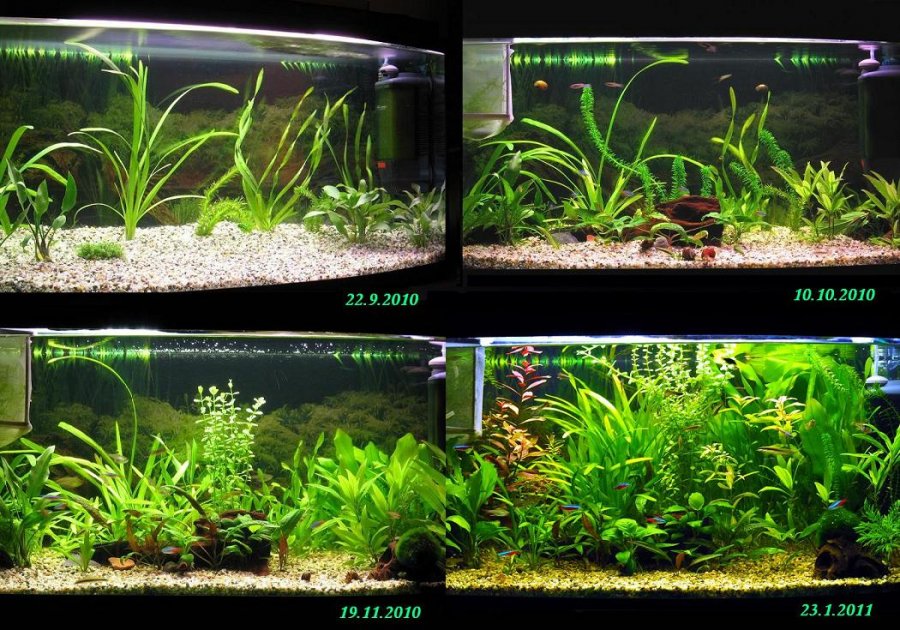 Cycling 100l in 4 months
