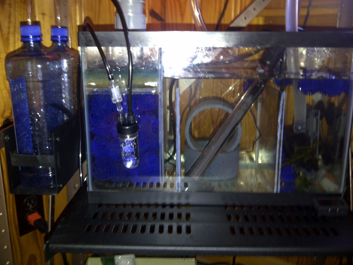 DIY Bio-Filter and CO2 System