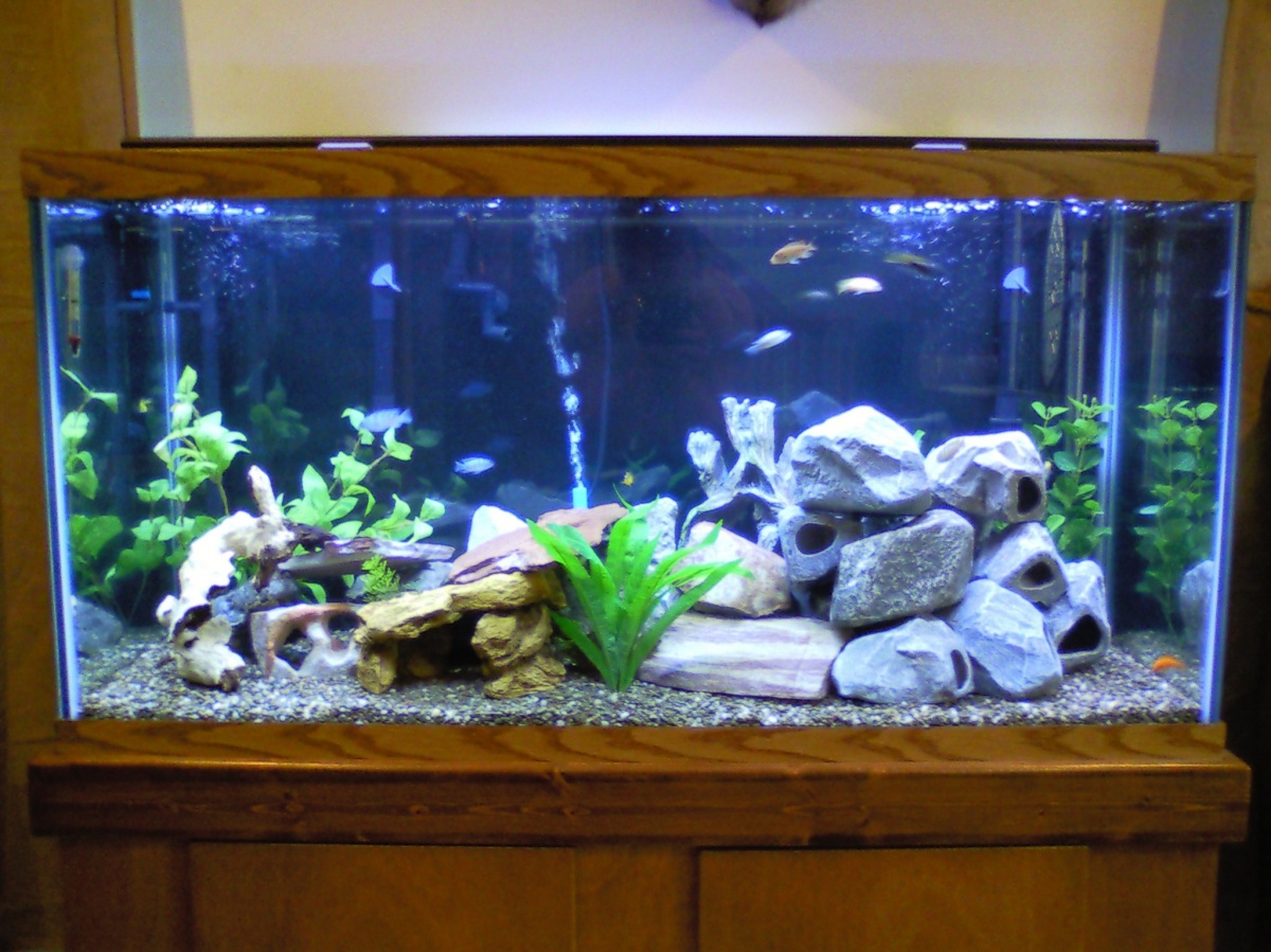Finished 90 gal.