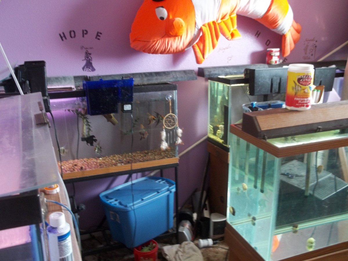 fish room 003