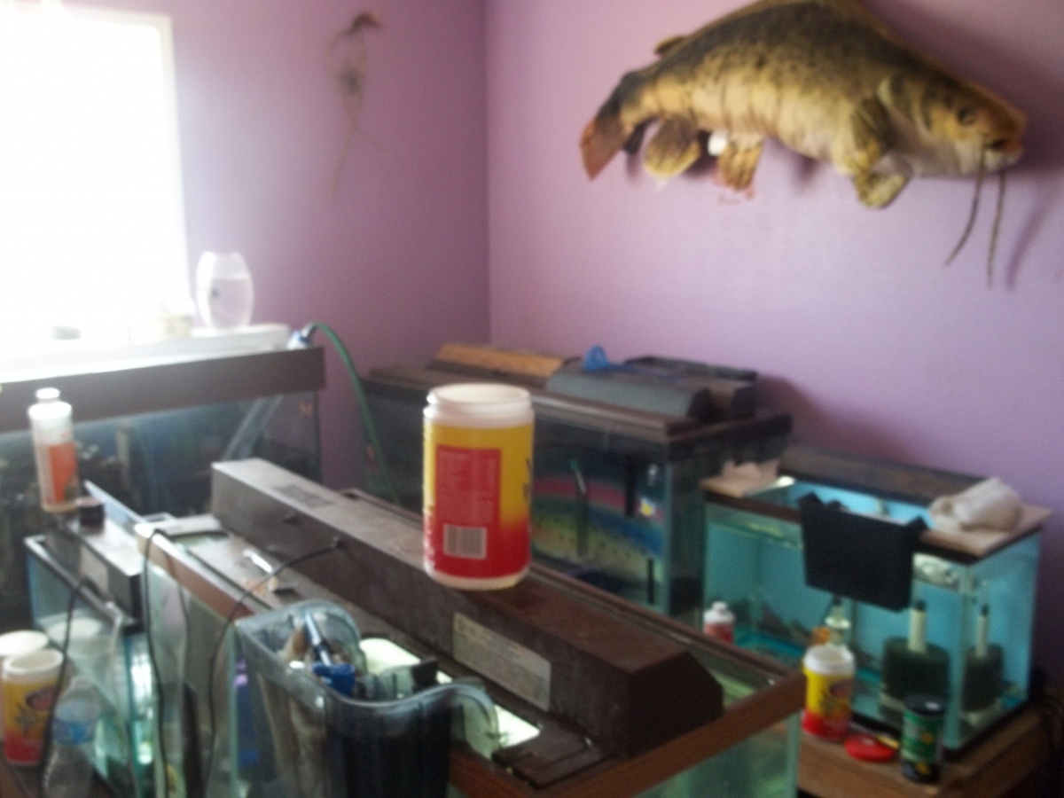 fish room 005