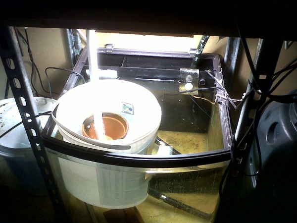 Fry growout tank showing bucket submersed in tank and pipework from sump.