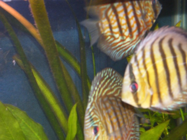 Group shot with new discus