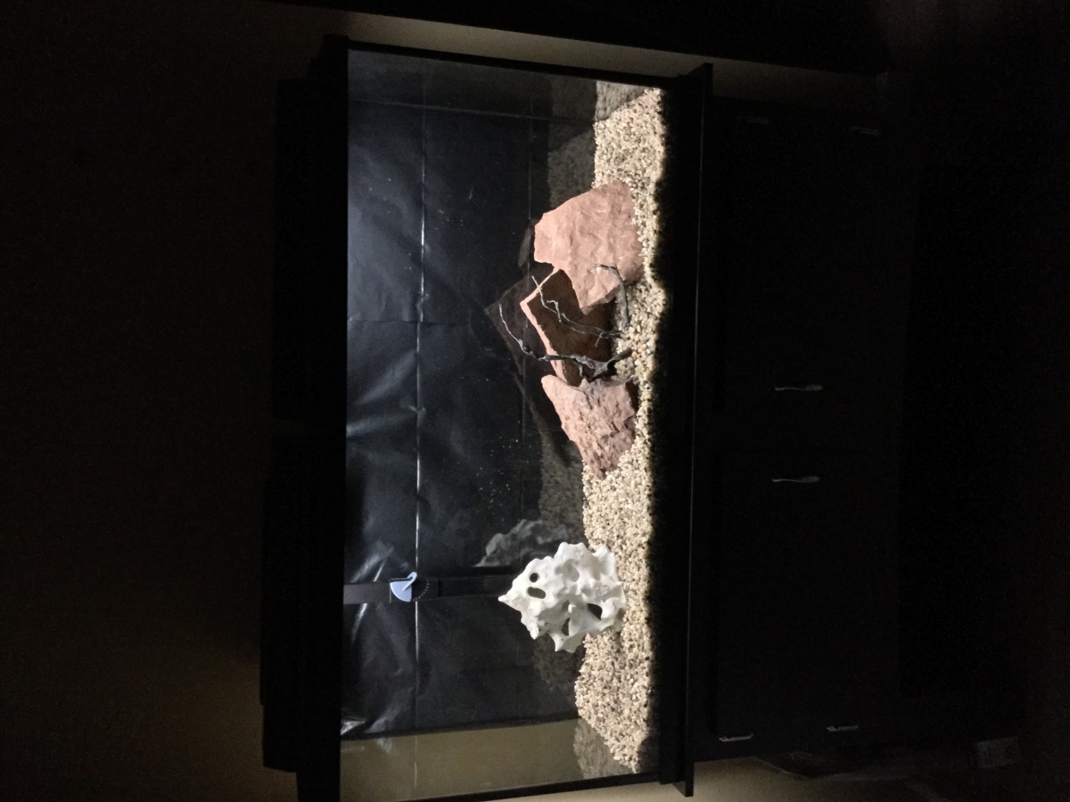 Hard scape of African Cichlid tank