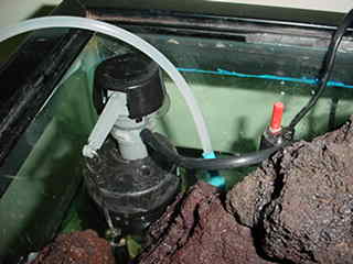 Here is a picture of the auto top-off I rigged from a toilet refill setup. The 1/4" water line runs to my cold-water supply from the kitchen sink. The