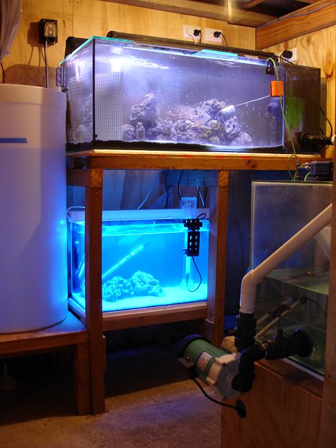 Housed downstairs below display tank. Skimmer, calcium reactor etc opposite wall to refugium and QT tank.
