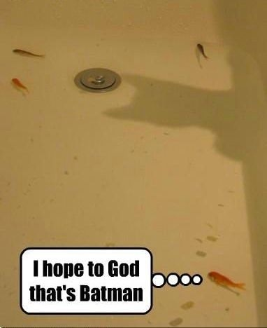 I think the fishy is in trouble!