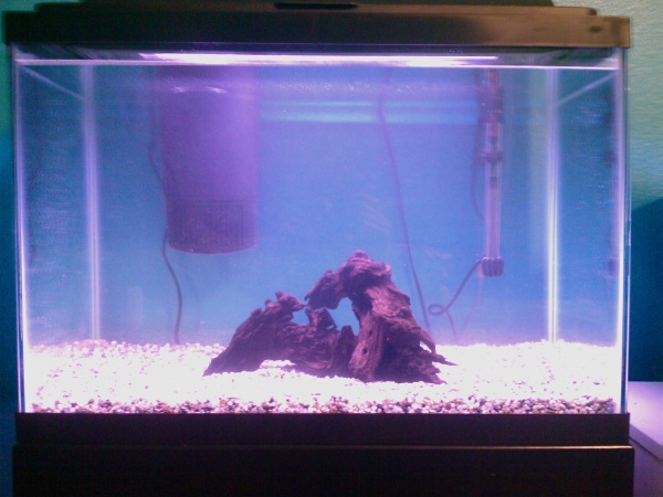 Its a little foggy, I just set it up in this one. Its alot clearer now and hopefully plants wil come next.