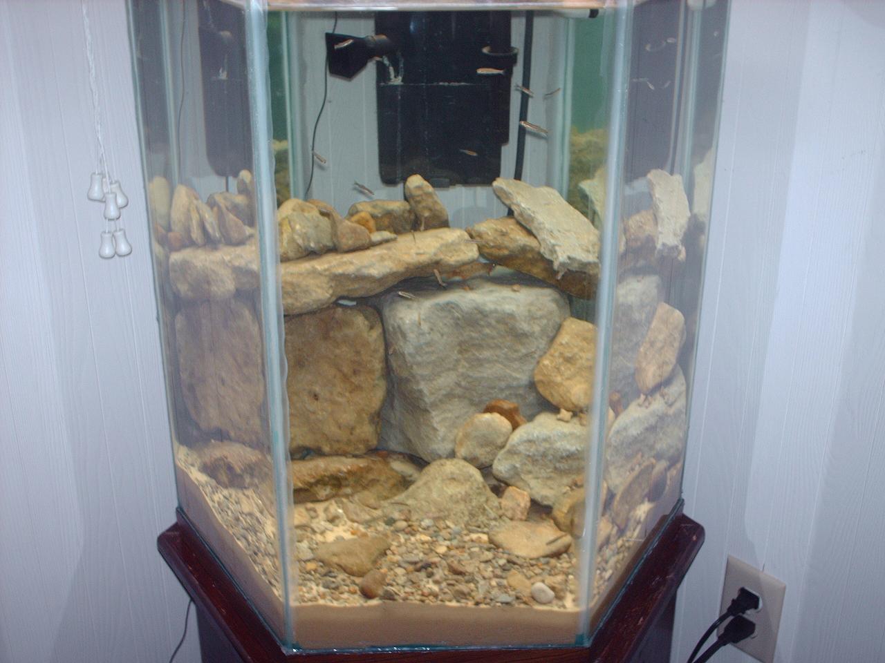 just a pic of my new tank before it really had much in it