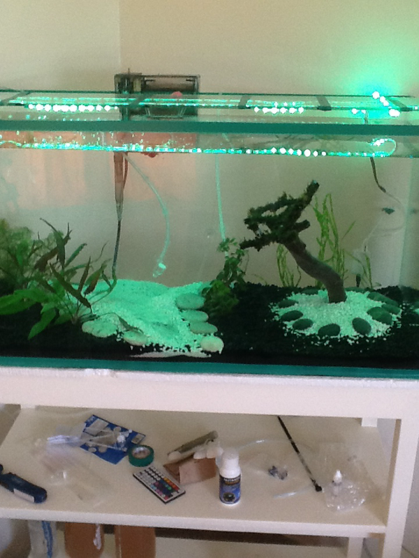 Just set up planted 40G tank