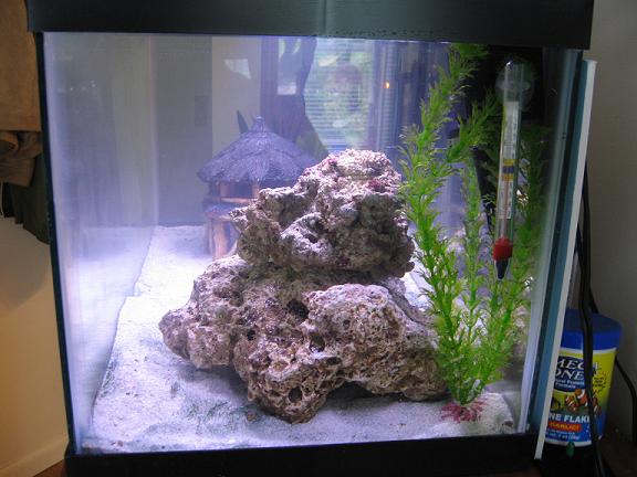 Live Rock.  Once mature, my tank will get some live plants and maybe coral