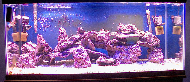 Most resent picture of my tank =) not much has changed since last time.. still pretty empty