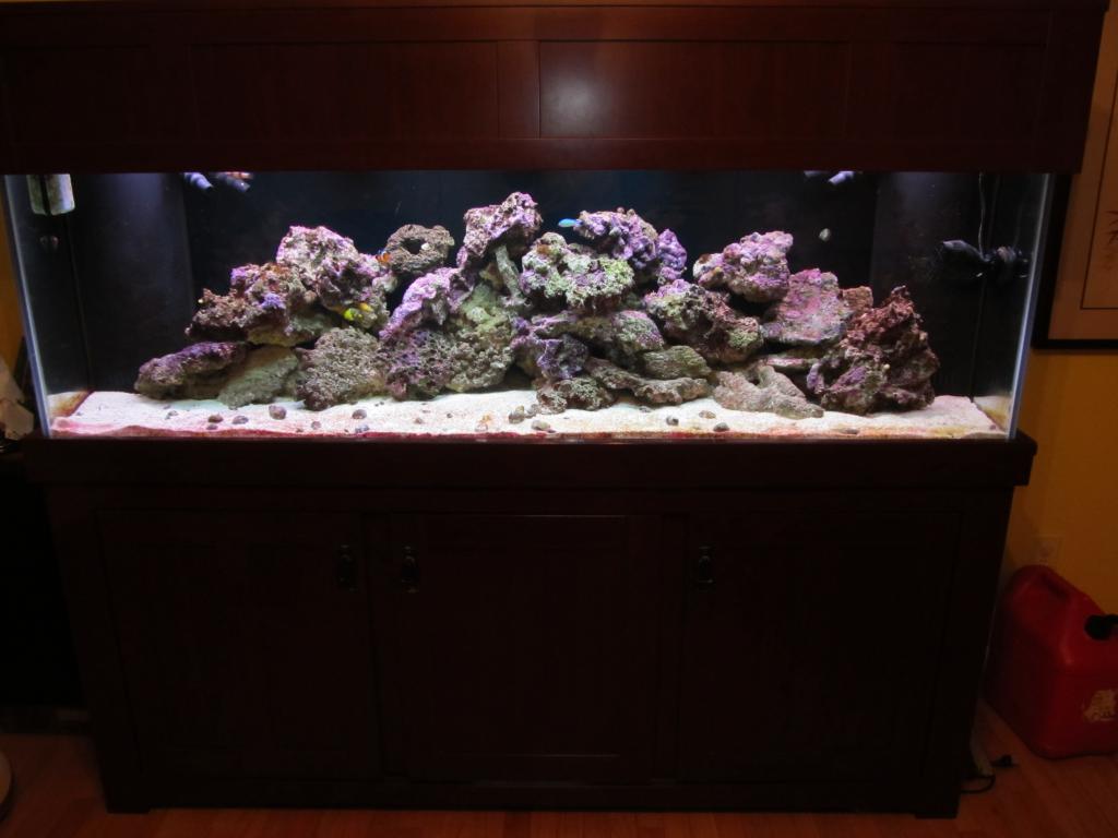My 125gal before I had my T5's put on.