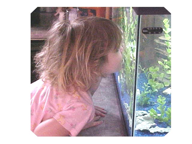 MY 2 yr old "luvs her fishies!"