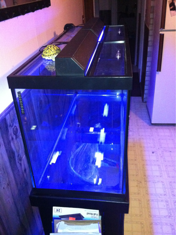 My 90 gallon empty. The very first night I brought it home