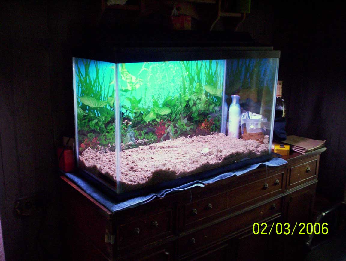 my aquarium 024 med
