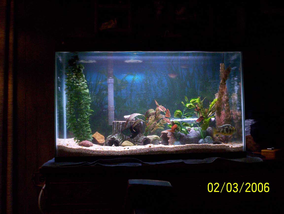 my aquarium 026 med