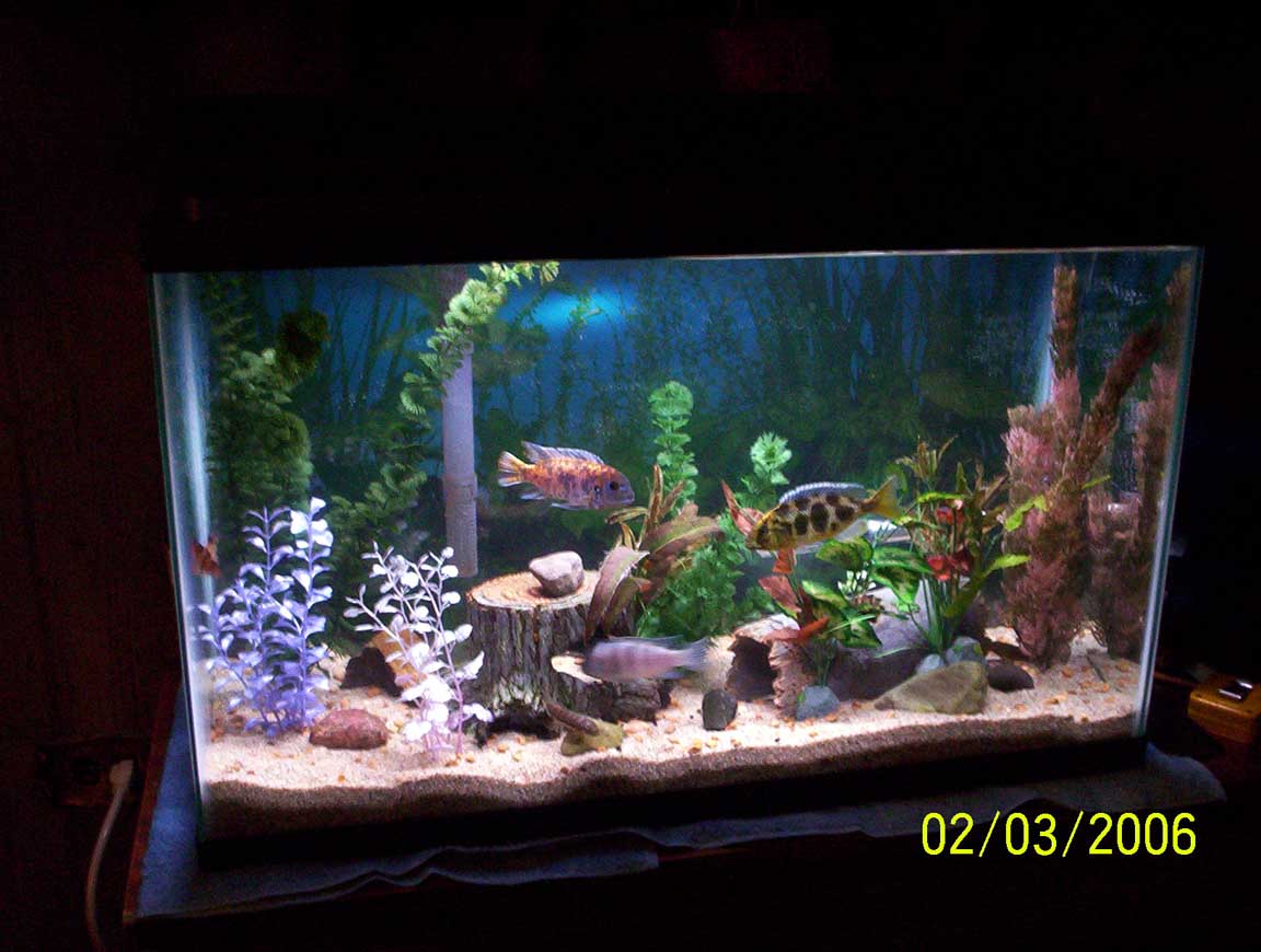 my aquarium 0341 med
